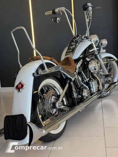 SOFTAIL DELUXE FLSTN