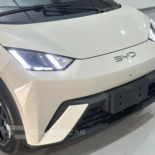 Dolphin Mini (Elétrico)