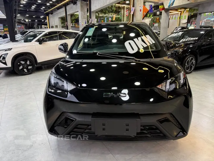 DOLPHIN MINI 38 KW ELÉTRICO GL