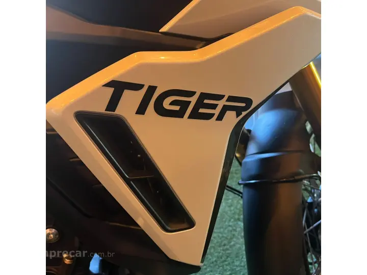 TIGER 900 RALLY PRO