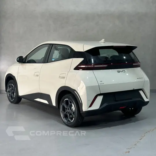 Dolphin Mini (Elétrico)