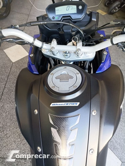 XTZ 250 TENERE/TENERE BLUEFLEX