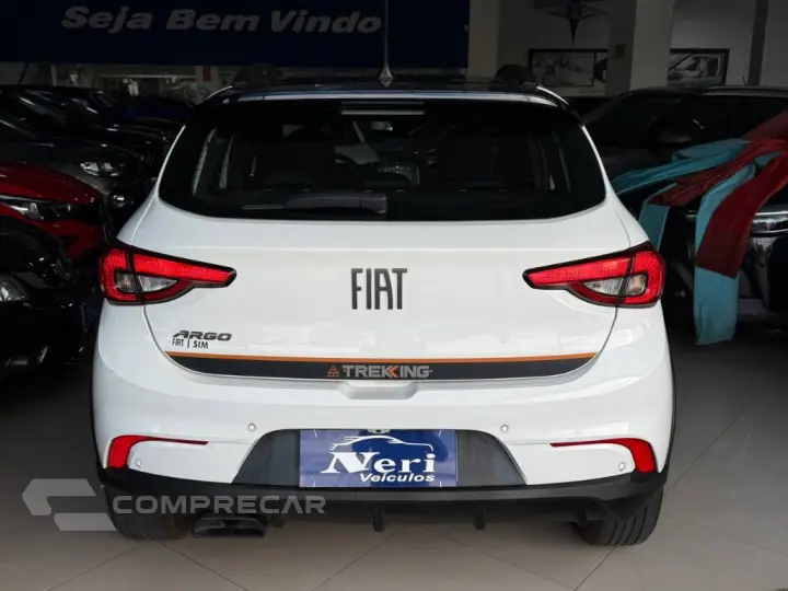 ARGO TREKKING 1.3 8V Flex