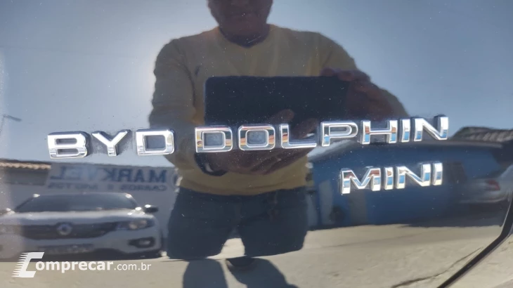 Dolphin Minn