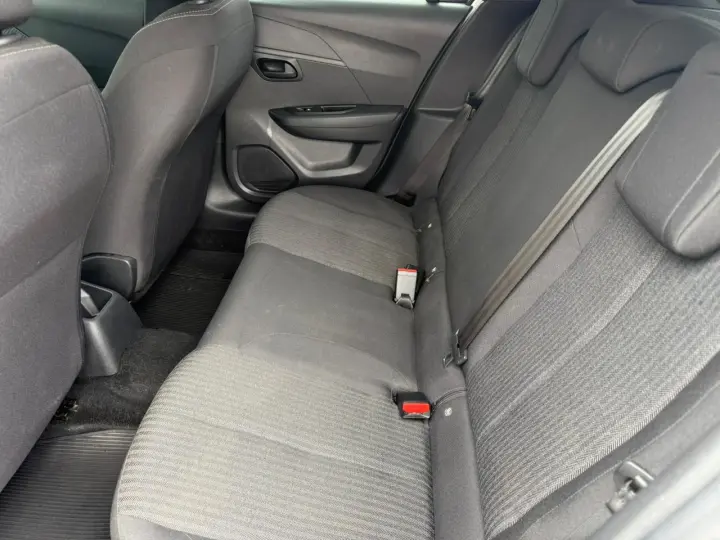 208 1.0 Firefly Like