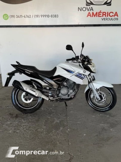 YS 250 FAZER/ FAZER L. EDITION /BLUEFLEX