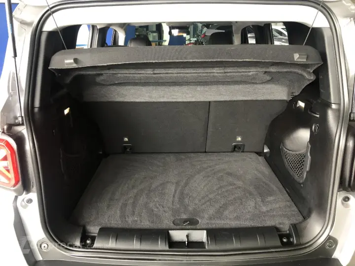 RENEGADE 1.3 T270 TURBO FLEX LONGITUDE AT6