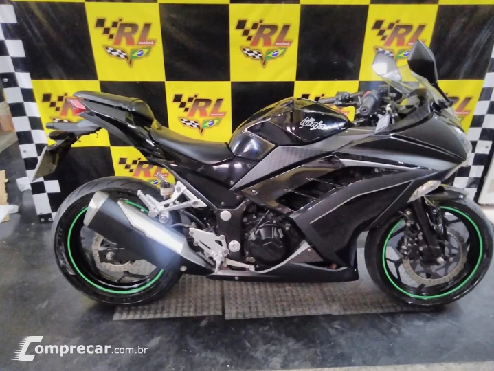 Ninja 300