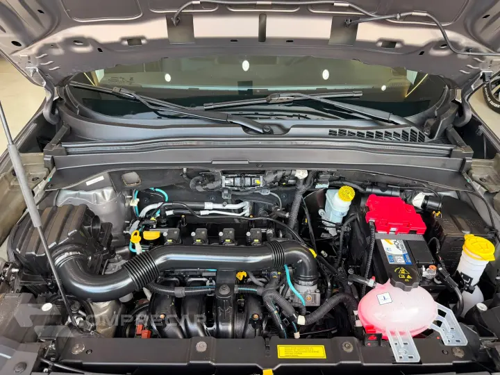 Renegade 1.8