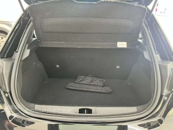 208 1.0 FIREFLY FLEX LIKE MANUAL