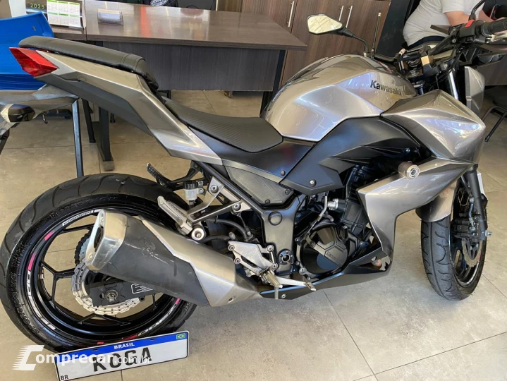 Z300