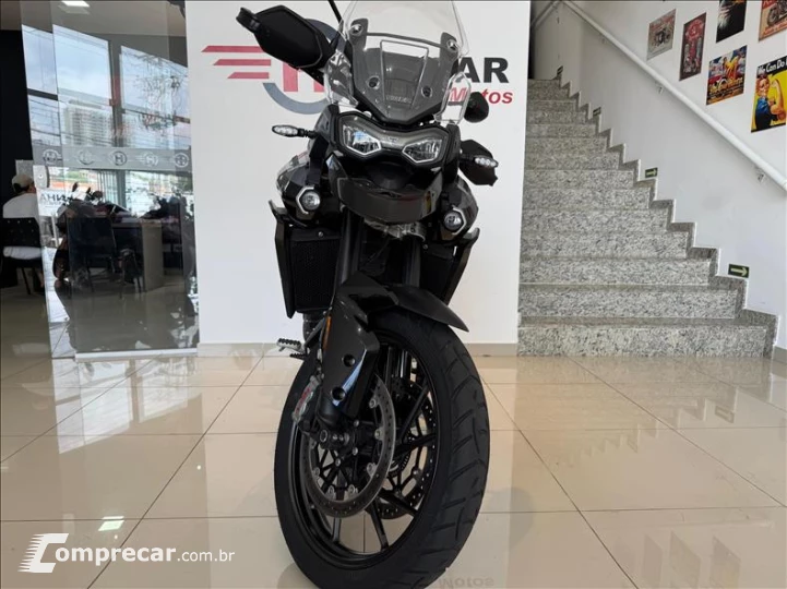 TIGER 900 GT PRO