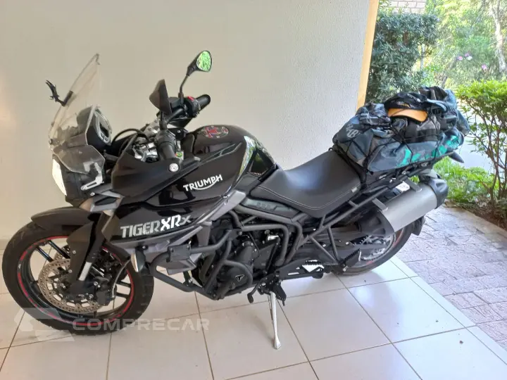 Tiger 800 Xrx