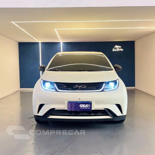 Dolphin EV (Elétrico)