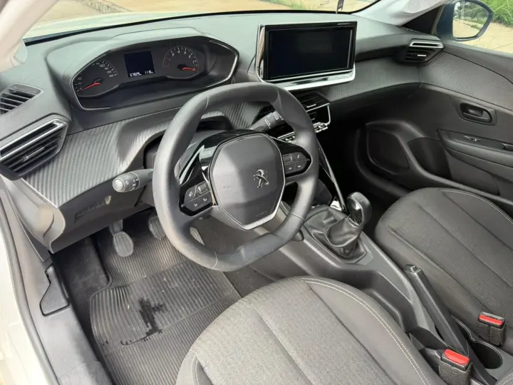 208 1.0 Firefly Like