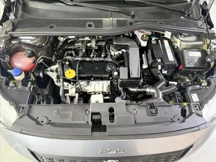 208 1.0 Firefly Like