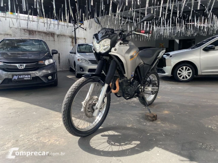 XTZ 250 TENERE/TENERE BLUEFLEX