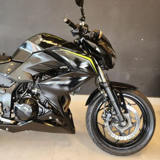 Z 300