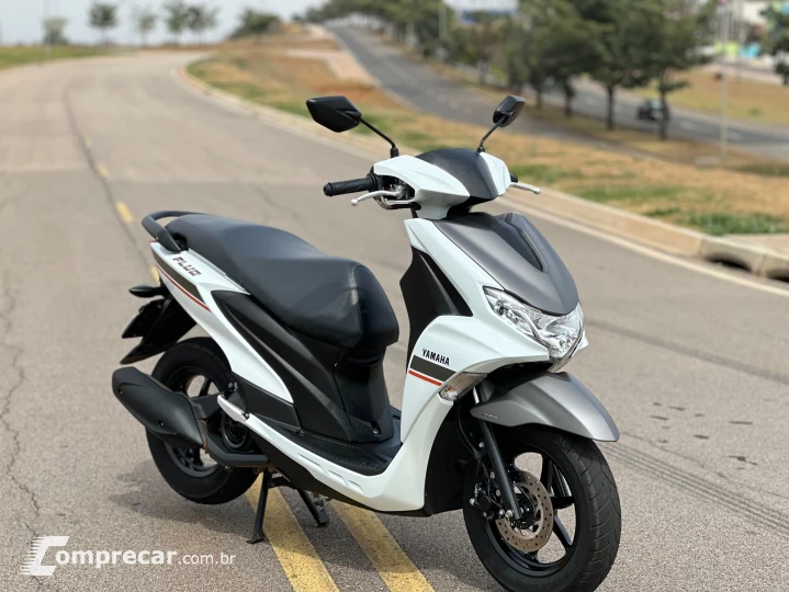 FLUO 125