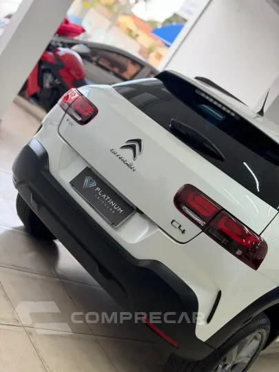 C4 CACTUS FELL