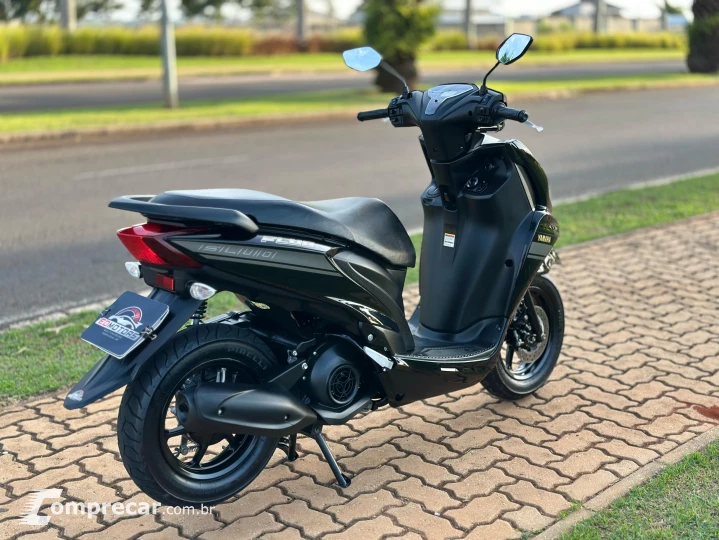 FLUO 125