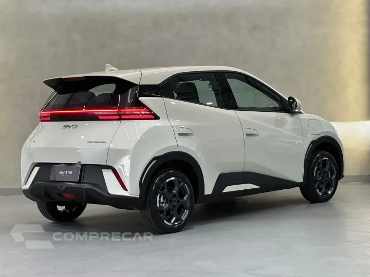 Dolphin EV GS (Elétrico)