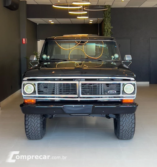 F-1000 3.9 Super Serie 4X2 CS 8V Turbo
