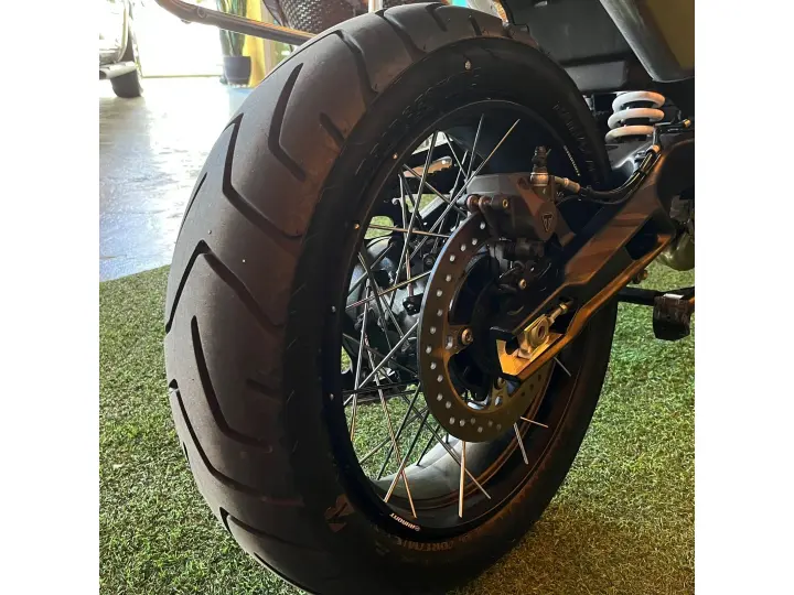 TIGER 900 RALLY PRO
