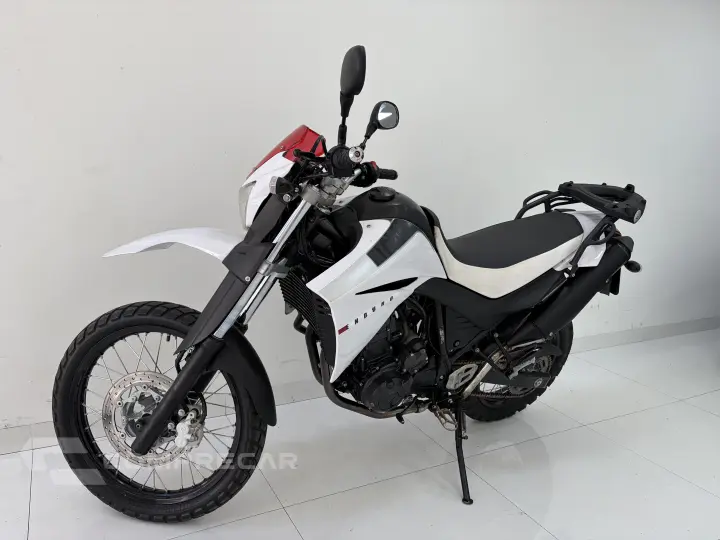 Xt