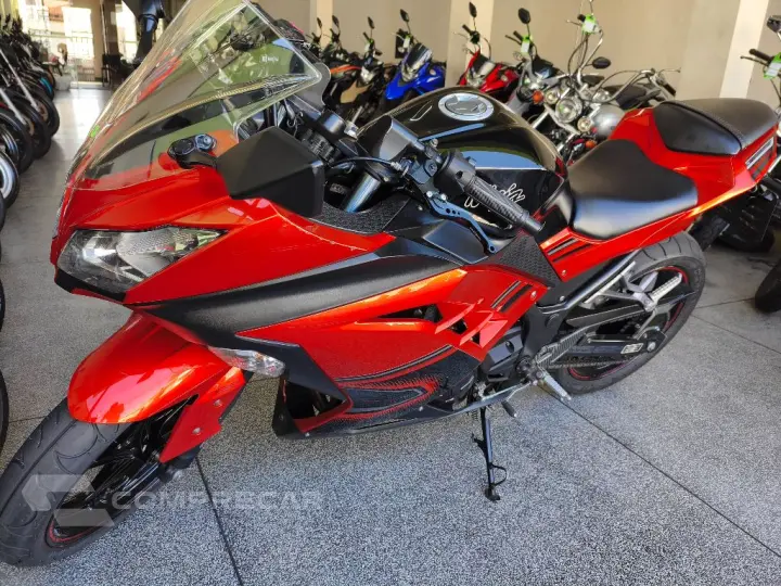 NINJA 300