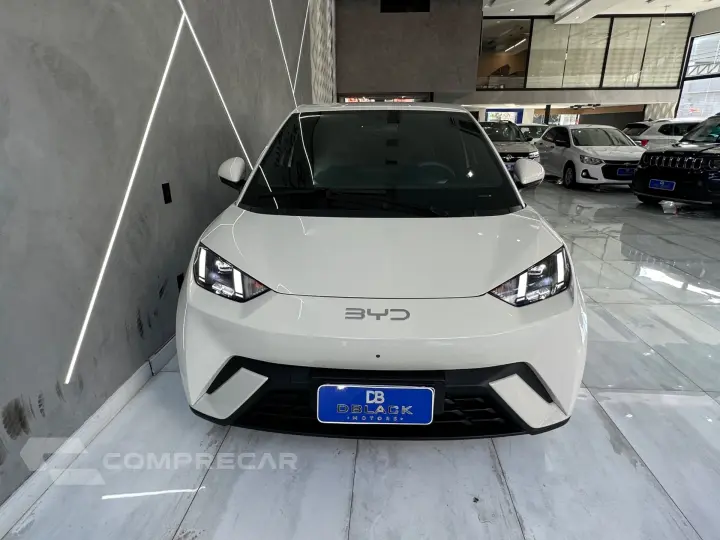 Dolphin Mini (Elétrico)