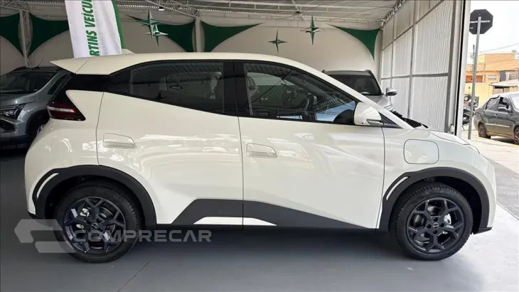 DOLPHIN MINI 38 KW ELÉTRICO GS