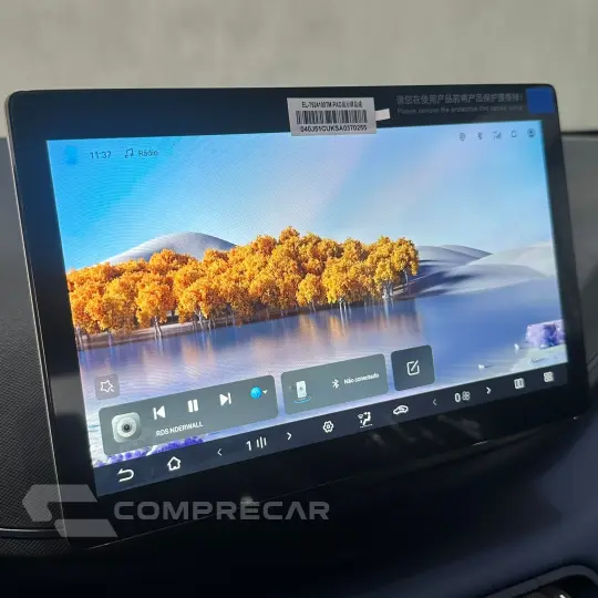 Dolphin Mini (Elétrico)