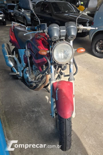 YS 250 FAZER/ FAZER L. EDITION /BLUEFLEX