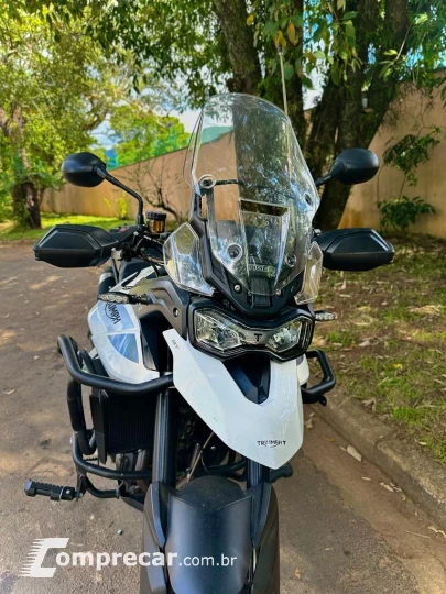 Tiger 900 GT
