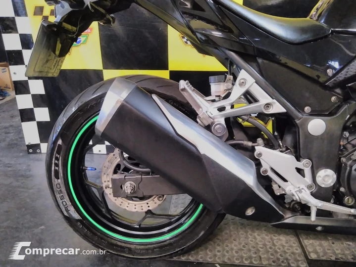 Ninja 300