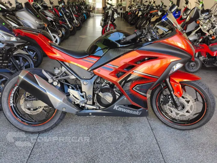 NINJA 300