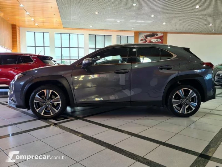 UX250H LUXURY