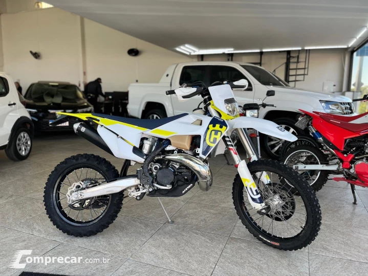 TE 300I