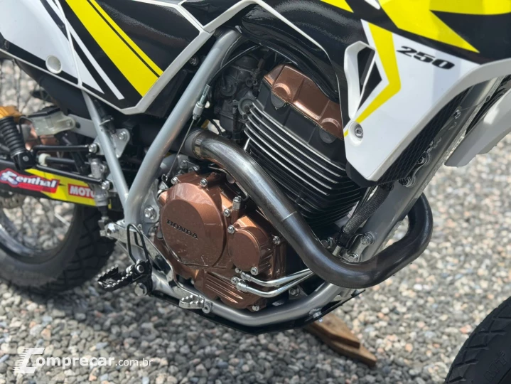 XR 250 Tornado