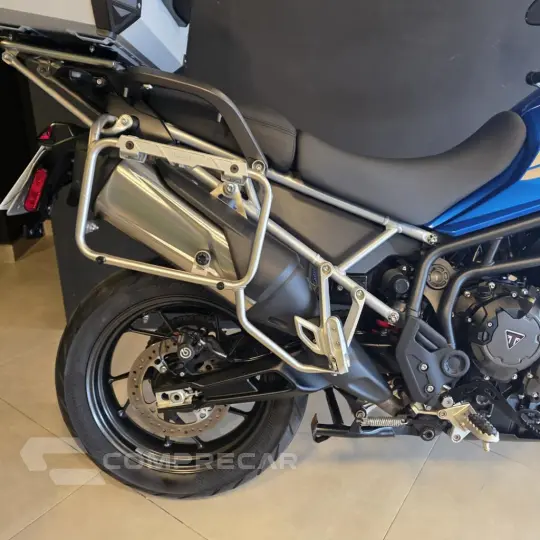 TIGER 900 GT PRO