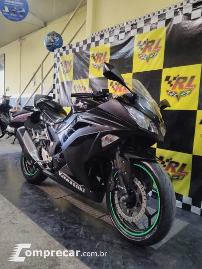 Ninja 300