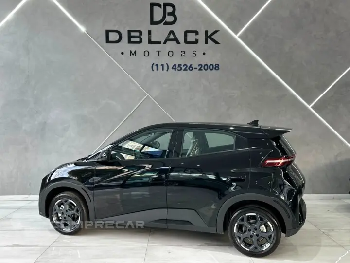 DOLPHIN MINI GL Dolphin Mini (Elétrico)