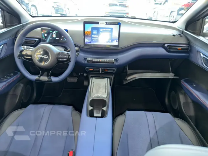 DOLPHIN MINI