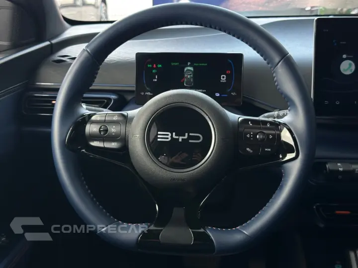 Dolphin Mini (Elétrico)