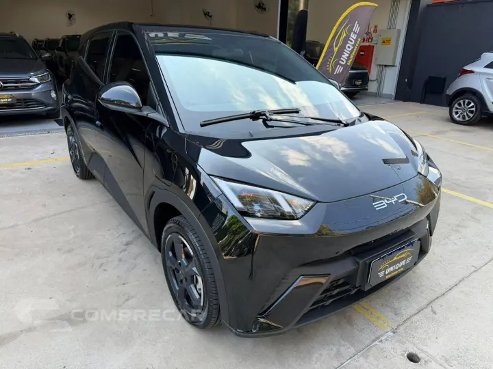 Dolphin Mini 38 Kw Elétrico