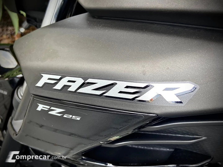 FZ25 FAZER 250 ABS