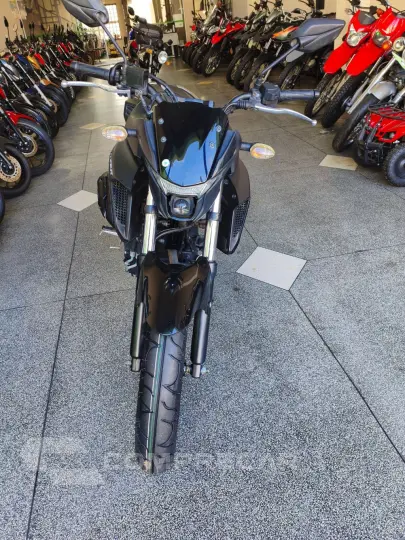 FZ25 250 FAZER FLEX