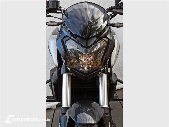 DOMINAR 250
