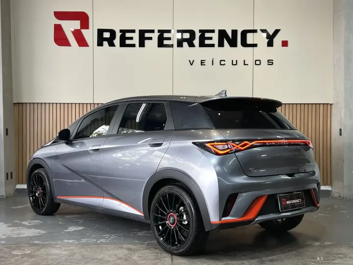 DOLPHIN 44,9 KW ELÉTRICO GS